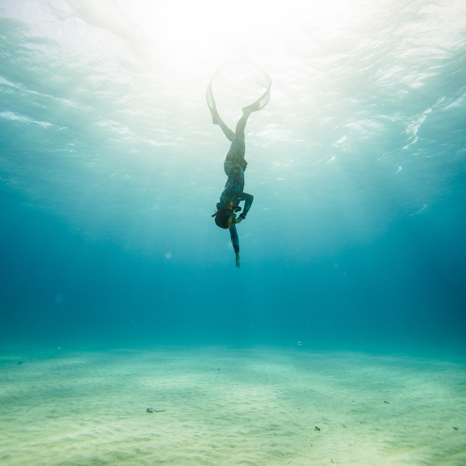 FREEDIVER_1