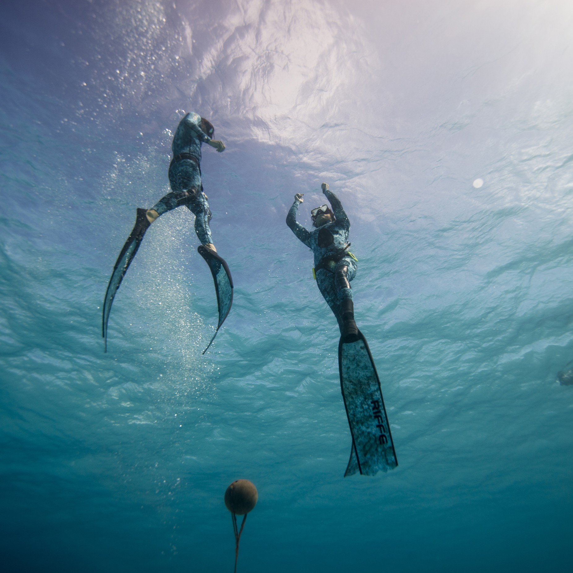 FREEDIVER_3